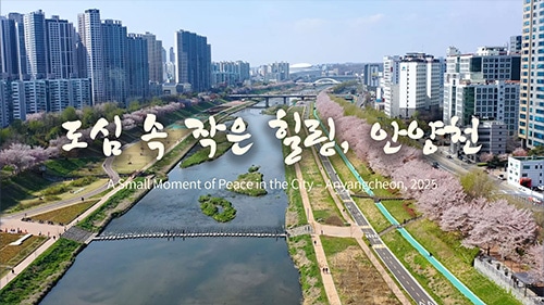 [드론촬영] 안양천 봄 스케치